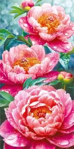 Конверт для денег без надписи