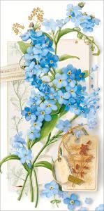 Конверт для денег без надписи (незабудки)