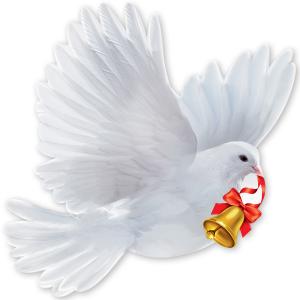 Украшение на скотче «Голубь»