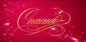 Конверт для денег «Спасибо» (надпись на малиновом фоне)