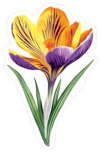 Украшение на скотче «Крокус жёлто-синий»