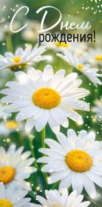 Конверт для денег "С Днем рождения!" (ромашки)