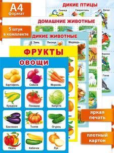 Комплект плакатов "Окружающий мир" 5 шт
