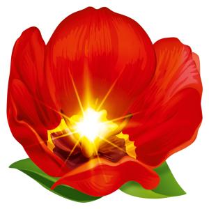 Украшение на скотче «Тюльпан» 