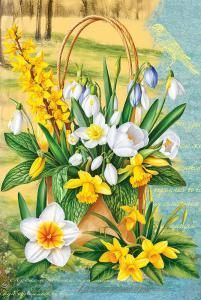 Открытка без надписи