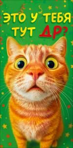 Конверт для денег «Это у тебя тут ДР?!» (кот)