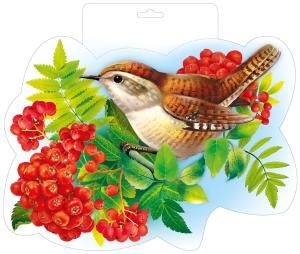 Мини-плакат «Крапивник»