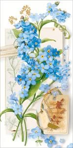 Конверт для денег без надписи (незабудки)