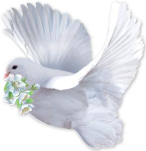 Украшение на скотче «Голубь»