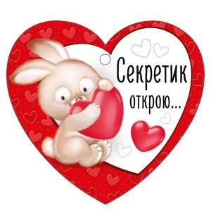 Бирка «Секретик открою...»