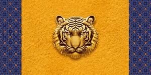 Конверт для денег Без надписи