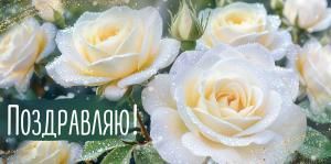 Конверт для денег «Поздравляю!» (белые розы)