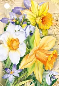 Бирка «Без надписи»