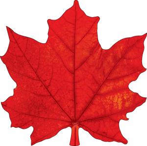 Украшение на скотче «Кленовый лист»