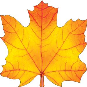 Украшение на скотче «Кленовый лист»