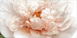 Конверт для денег без надписи