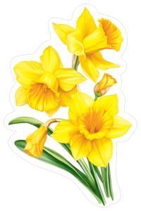 Украшение на скотче «Нарциссы»