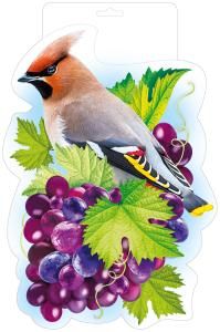 Мини-плакат «Сверистель»