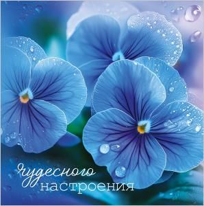 Бирка двойная «Чудесного настроения»