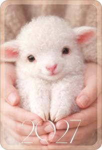 Календарь карманный 2027 (ягненок в руках)
