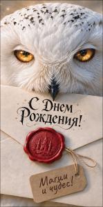 Конверт для денег "С Днем Рождения!" (сова с письмом)