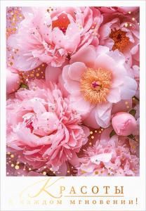 Бирка «Красоты в каждом мгновении»