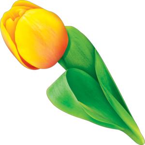 Украшение на скотче «Тюльпан»