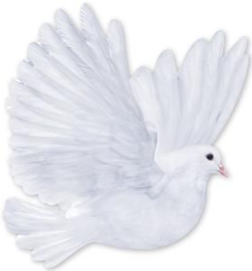 Украшение на скотче «Голубь»