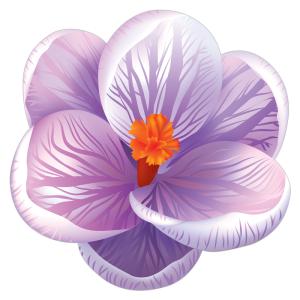 Украшение на скотче «Крокус синий» 