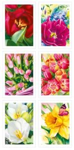 Набор карточек «Весенние цветы» 30 шт