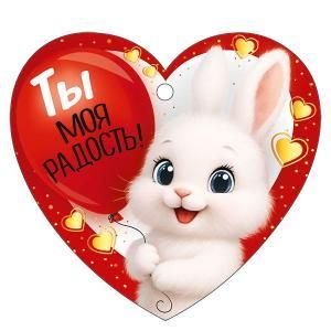 Бирка «Ты моя радость!»