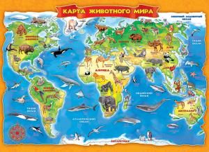 Плакат «Карта животного мира»