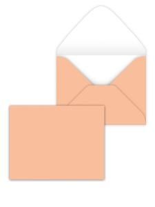 Конверт художественный малый «Персиковый»