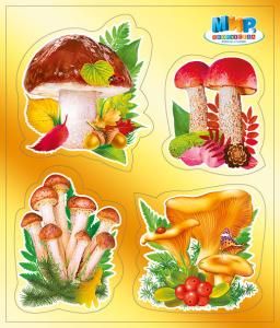 Наклейка «Грибы»