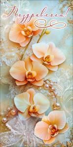 Конверт для денег «Поздравляем!»