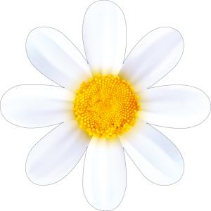 Украшение на скотче "Ромашка"