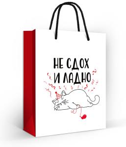 Пакет подарочный "Не сдох и ладно"