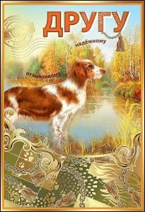 Открытка-поздравление «Другу»