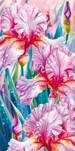 Конверт для денег без надписи