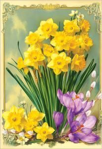 Бирка двойная без надписи (жёлтые нарциссы и подснежники)