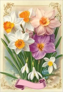 Бирка двойная без надписи (нарциссы)