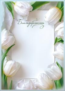 Благодарность (обрамление из белых тюльпанов)