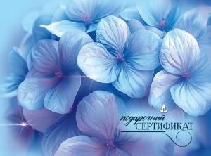 Конверт для подарочного сертификата «Подарочный сертификат»