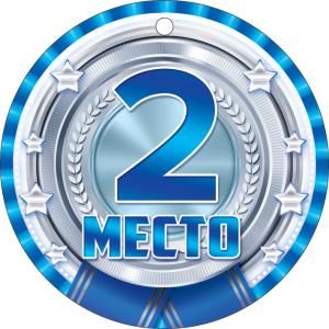 Медаль «2 место. Серебро»