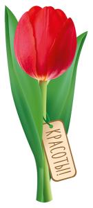 Закладка «Красоты!»