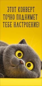 Конверт для денег «Этот конверт точно поднимет тебе настроение!»