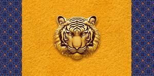 Конверт для денег Без надписи