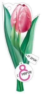 Открытка «С 8 Марта!»