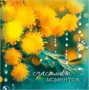 Бирка двойная «Счастливых моментов»