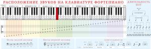 Плакат-полоска "Музыкальная грамота Сольфеджио"